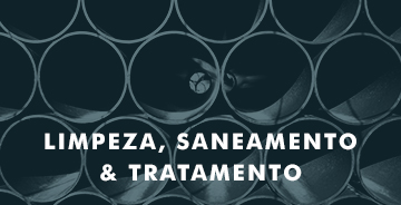Sanite saneamento